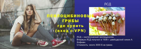 ГАЛЛЮЦИНОГЕННЫЕ ГРИБЫ Армянск