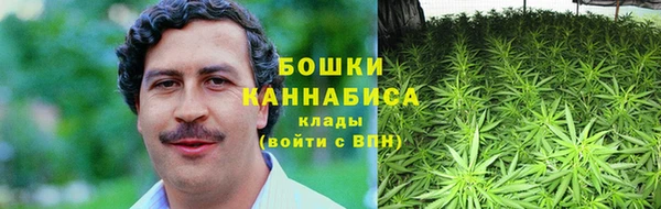 ГАЛЛЮЦИНОГЕННЫЕ ГРИБЫ Армянск